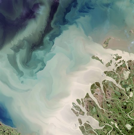 usgs-JiuVoQd-ZLk-unsplash.jpg 